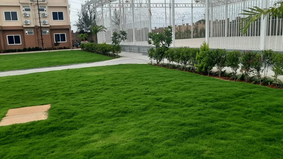 Mexican grass lawn at Golden Amoon Resort Bangalore